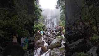 Waterfall status| Amboli waterfall | shorts shortvideo viral rain amboli ambolighat kokan 24