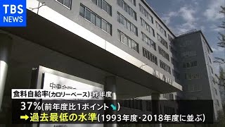 食料自給率３７％ 過去最低 ２０２０年度