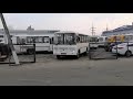 Чергова партія автобусів  ПАЗ-4234-РАП (Білорусь) виїхала до покупця