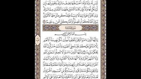 سورة المائدة للشيخ زكي داغستاني رحمه الله
