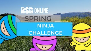 Spring Ninja Challenge - Virtual Fitness Activity (Get Active Games)