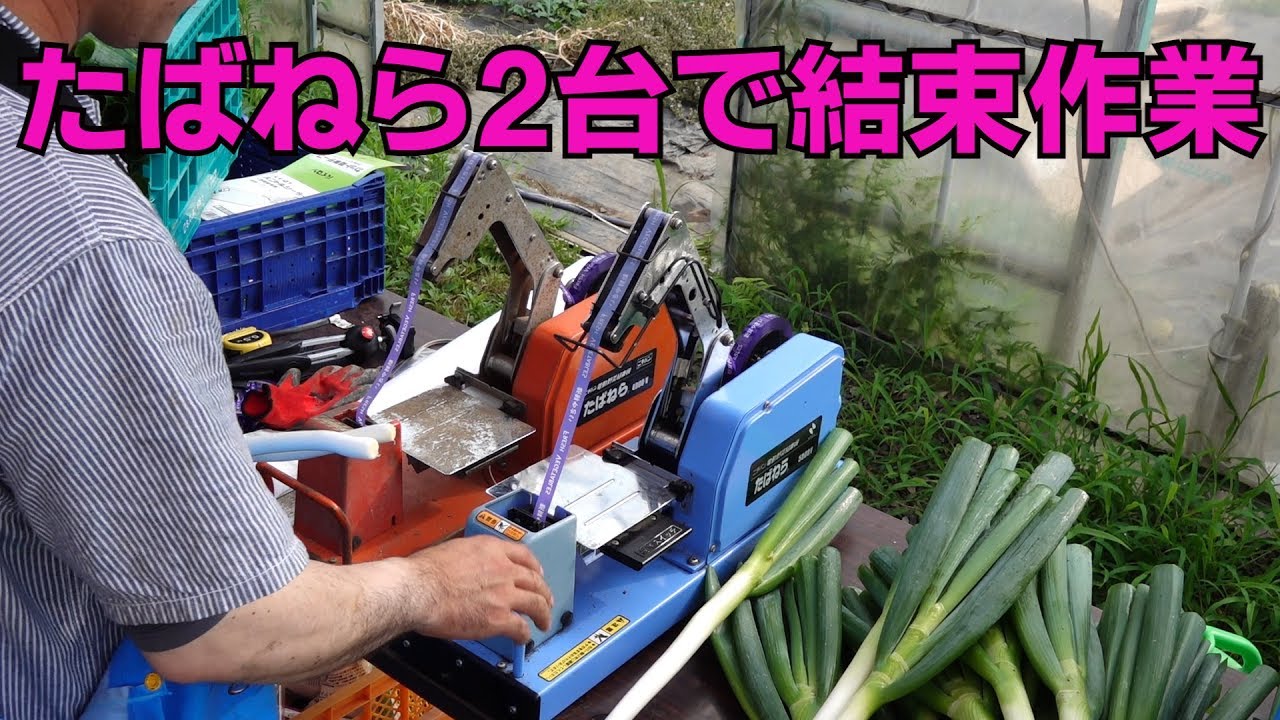 たばねら ニチバン ネギ等の結束 電動野菜結束機