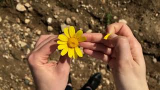 ROMANTIC PIANO Relaxation Sound 1 Hours (No Copyright Sound) screenshot 4