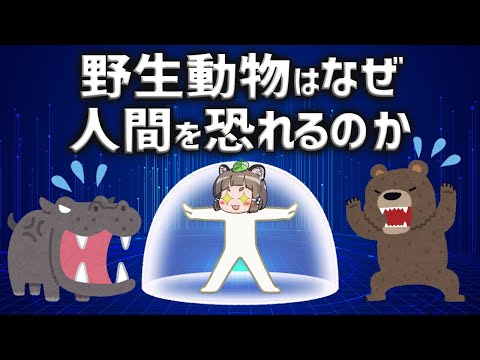 【疑問】人間はなぜ野生動物に襲われにくいのか？