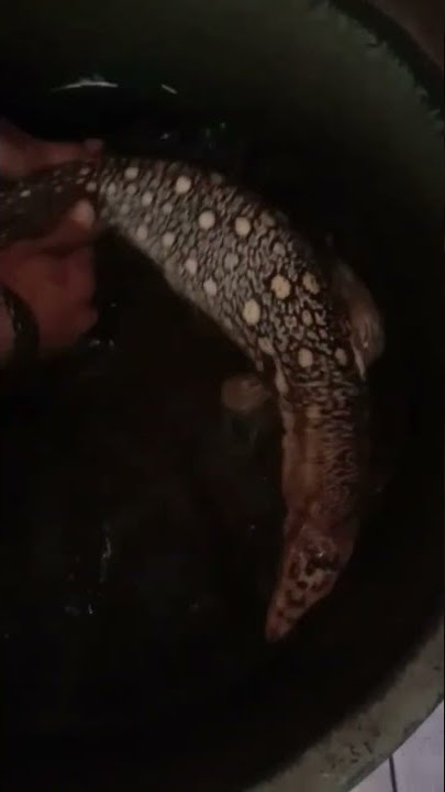 👀Intip yang lagi MANDI
