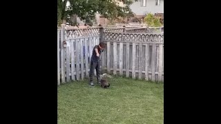 Poor Guy Struggles With Picking Up The Cat Off The Ground To Hold Her