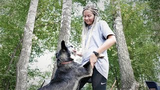 Бездомные животные — как глобальное потепление (проект "Смсфинанс" и Базы реабилитации животных) Бездомные животные — как глобальное потепление (проект "Смсфинанс" и Базы реабилитации животных)