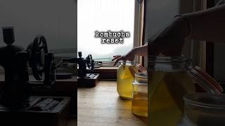 My dusty booch had slipped a little too far into vinegar territory