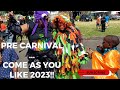 PRE CARNIVAL | COME AS YOU LIKE 2023 | DOMINICA #fabzvibration #carnivalseason