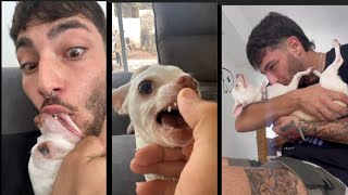 niki ozeri HATES KISSES /mreviatar tiktok/mreviatar tiktok /mreviatar tiktok compilation. by Daily dose of dogs 14,788 views 1 year ago 1 minute, 50 seconds