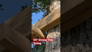Diy Strong Tree Swing
