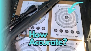 Gamo Swarm Maxxim G2 Accuracy? Will it work for Pests?