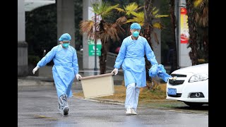 Le nouveau virus découvert en Chine est transmissible entre humains, selon les autorités sanitaires