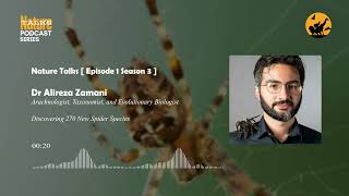 Preview Discovering 270 New Spider Species