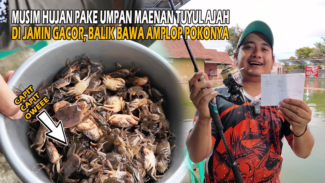 UMPAN SEGALA CUACA❗❗PEGEL TANGAN PASTINYA KALO UDAH PAKE INI❗❗BALIK BISA JAJAN YUYU CRISPI 🤣🤣