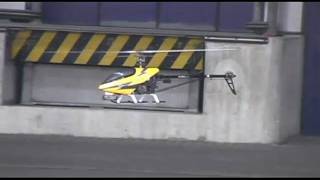 T-Rex 600ESP Erstflug