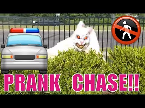 scary-bunny-in-public-pranks-people!!...-police-chase!!-game-play-steals-scooter,-thief!