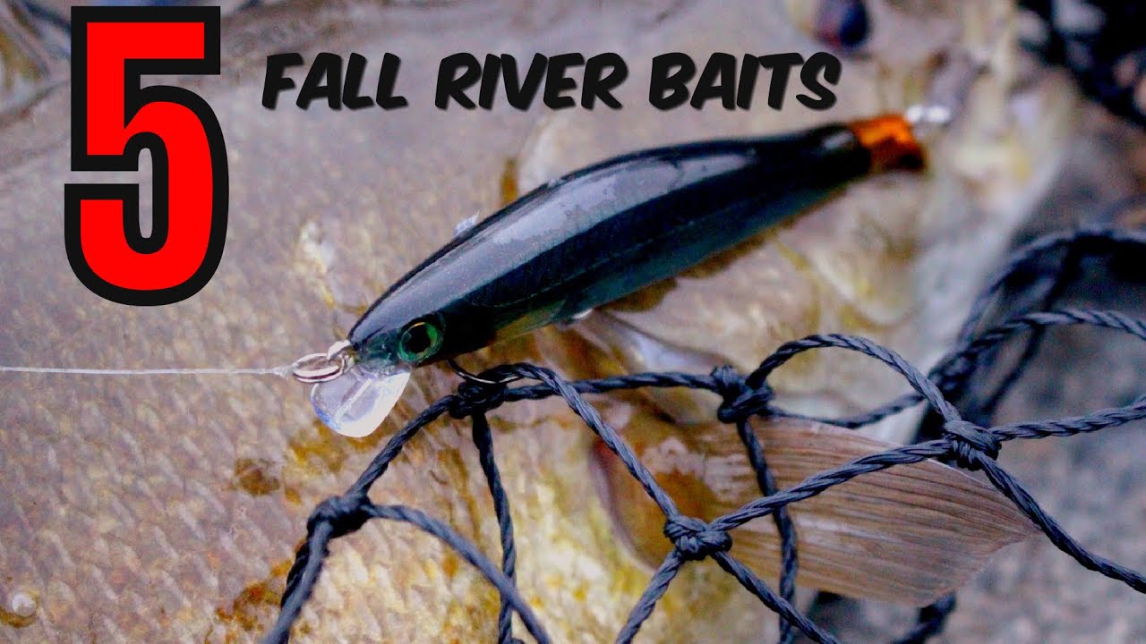 DON'T Go RIVER Fishing WITHOUT These 5 BAITS