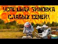 ЗИМОВКА СЛАБЫХ СЕМЕЙ!