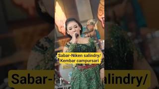 Download Lagu Sabar-Niken salindry/Kembar campursari (new dangdut 2025)  #sabar #dangdut #viral MP3