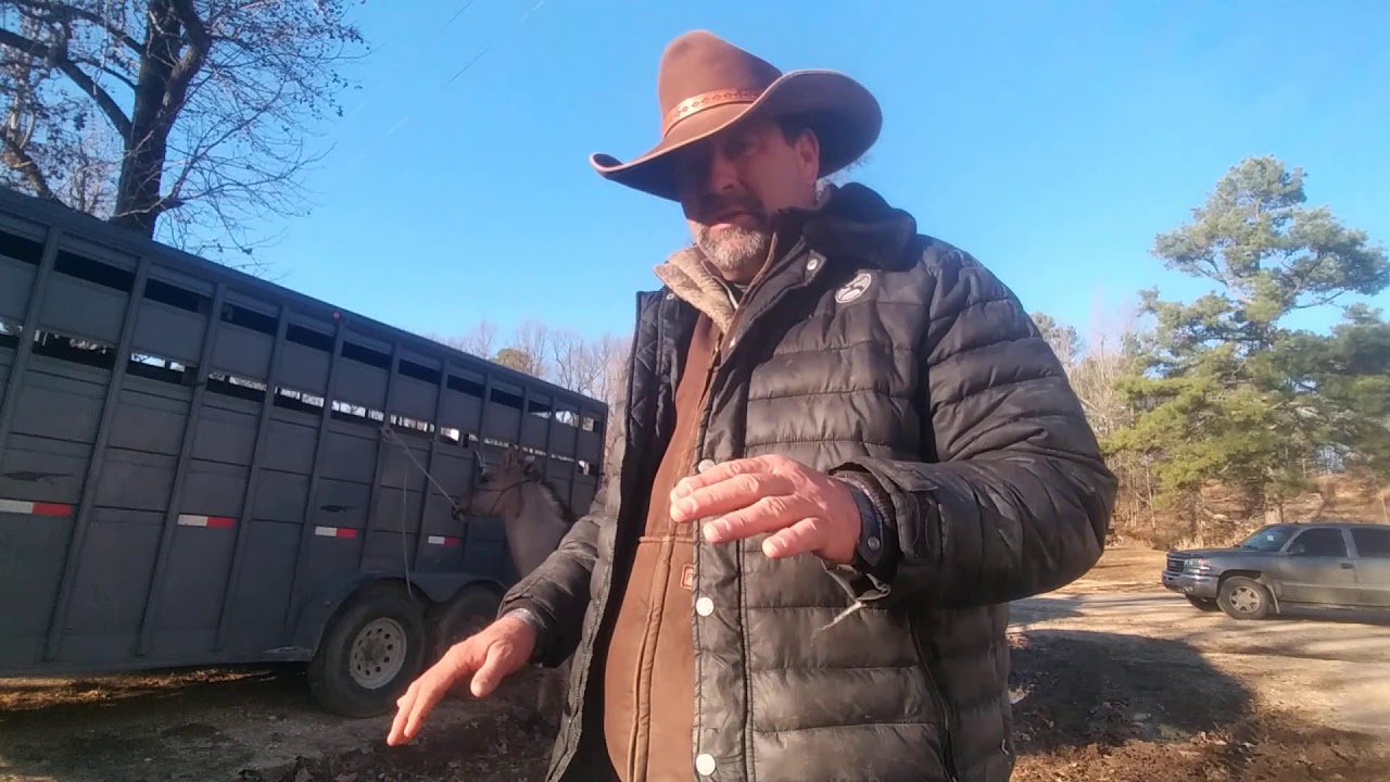 Day 12 TRAINING TEX.. BLANKET DRILL. WORKS GREAT YouTube