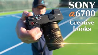 Sony A6700 - Creative Looks for Photo & Video