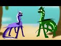 Beginning of video