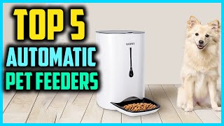 Top 5 Best Automatic Pet Feeders in 2025 Reviews