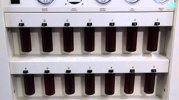 Biolytic ABI 3900 Hardware Features and Upgrades. DNA RNA Oligonucleotides Synthesis Synthesizer.