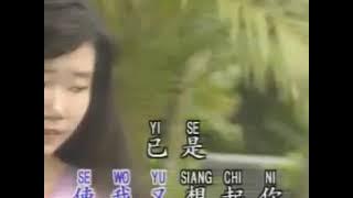 又是細雨#You Shi Xi Yu (鑽石金曲).MP4