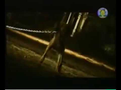 أغنية قديمة بعنوان حاولت أنساك إلين خلف