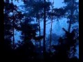 sonidos de la naturaleza