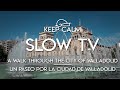 Slow TV. A Walk through the city of Valladolid | Un paseo por la ciudad de Valladolid #SlowTV #relax