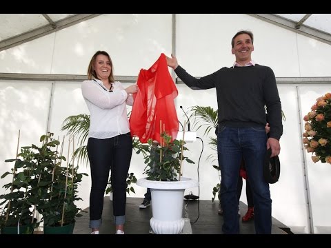 Bapt&ecirc;me de la rose des Jardins de Non&egrave;res