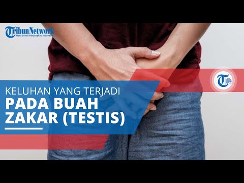 Video: Orchitis: Sebab, Faktor Risiko, Dan Gejala