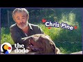 Chris Pine Goes on A Dodo Dream Date | The Dodo