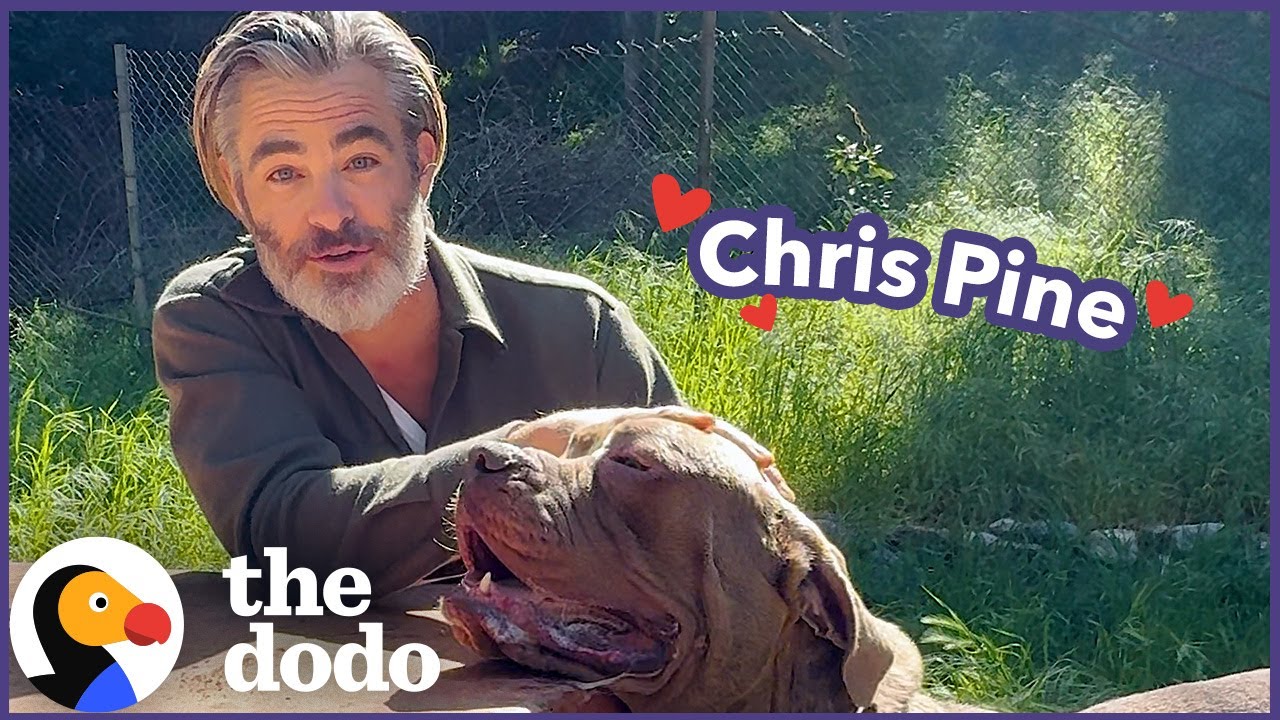 Chris Pine Goes on A Dodo Dream Date - The Dodo
