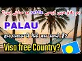 How To Settle In Palau As A Foreigner Ride And Fun Palau How To Settle In Palau As A Foreigner Ride And Fun Palau
