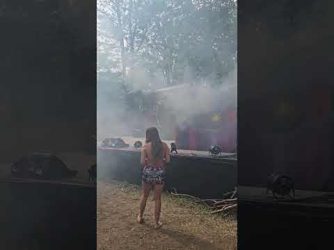 Fog Dawg With Another Olfactory Banger Festival Art Dothingsyoudontwanttodo 