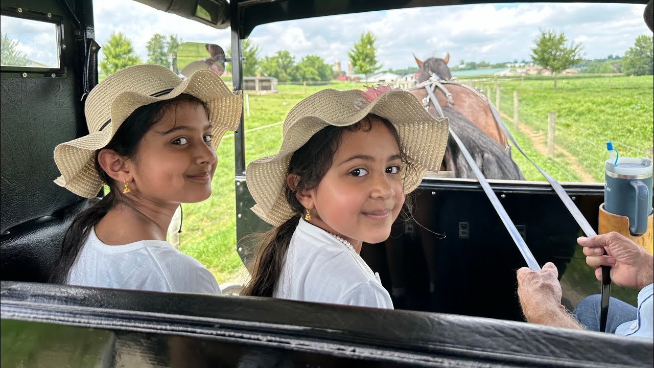 Buggy rides, Pony rides and horse rides in USA 