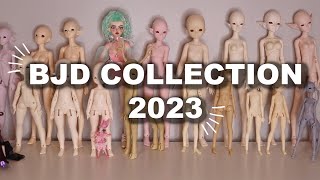 BJD Collection 2023 : Fairyland, Frappzilla, Digi Dolls, Maskcat, etc •JackyOhhh