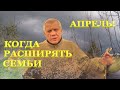 Пчеловодство. Апрель. Когда расширять семьи?