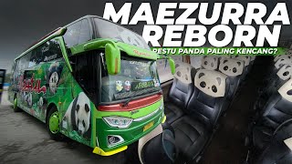 ARTIS BARU DI JALURNYA, BANTER DAN NYAMAN! Trip Restu Panda 'Maezzura Reborn'