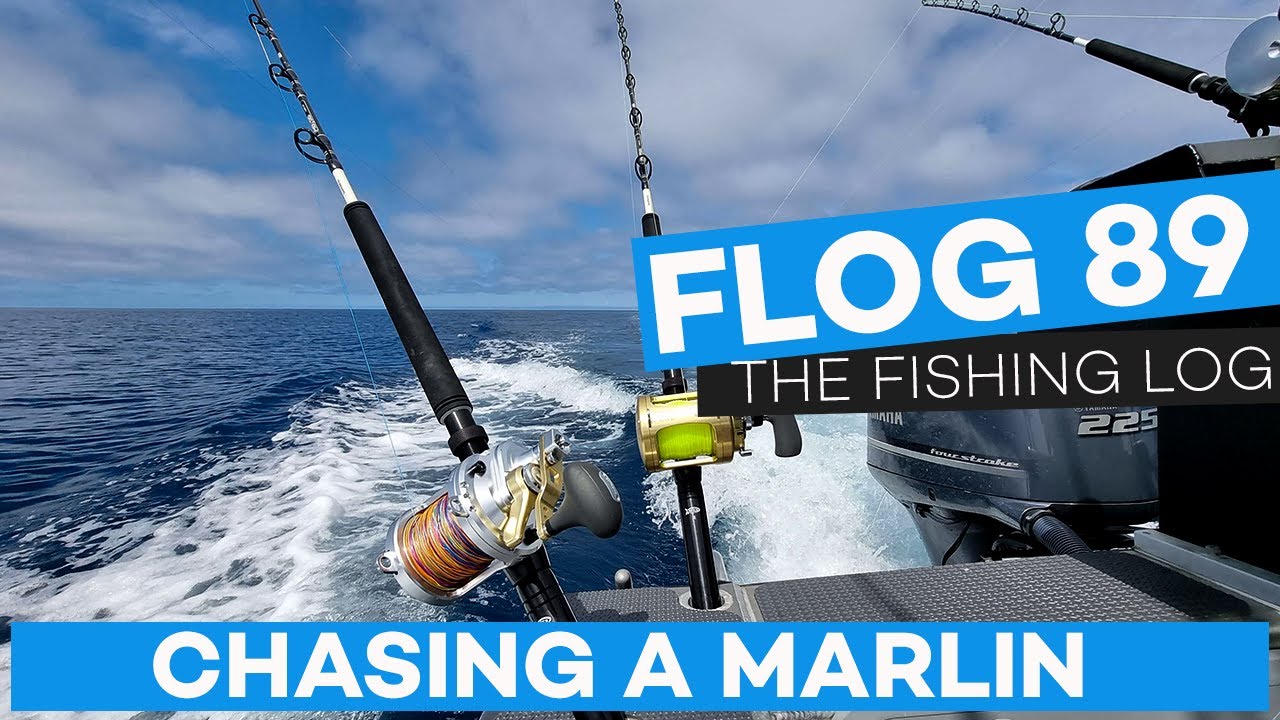 Flog 89 // Chasing A Marlin YouTube