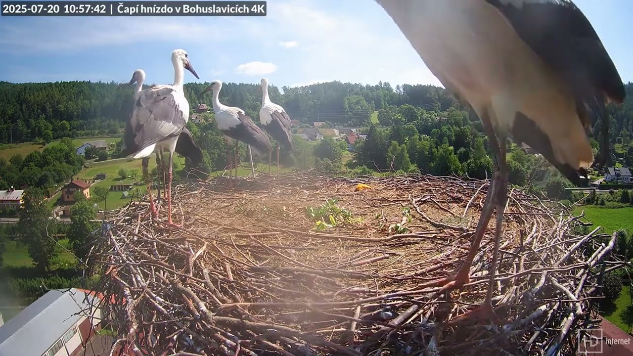 Morgana,Merlin a Artuš na společném výletu 20.7.25