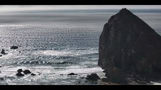 02 Tufted Puffins V02