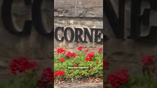 Full Letitia James takes over Cornell gang rape case as special prosecutor News