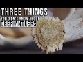 3 Things You Might Not Know About Deer Antlers