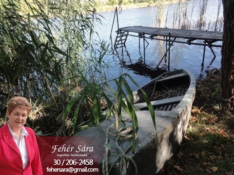 Tiszaugi Haz Kozvetlen Vizparton Youtube