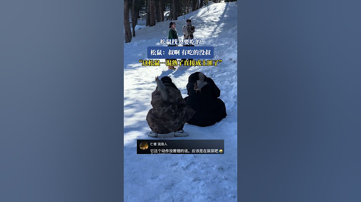 松鼠找人要吃的，松鼠,叔啊，有吃的沒叔，“這松鼠…混熟了直接成土匪了” #shorts#news#headlines#hotspots
